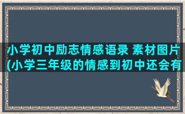 小学初中励志情感语录 素材图片(小学三年级的情感到初中还会有吗)